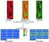 Figure 27 - Microstructure and texture of a hot-rolled austenitic (γ) – ferritic (α) steel, then cold-rolled by 20%, characterized by EBSD