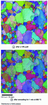 Figure 9 - Iron characterized by EBSD after 10% tension and 1 min annealing at 880 °C