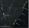 Figure 11 - A-ECCI micrograph at ...