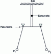 Figure 2 - Le Rolland-Sorin pendulum: schematic diagram