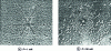 Figure 5 - Effect of force P on surface dislocation morphology after Vickers microhardening on the (111) face of a silver single crystal (99.999% purity) [57]