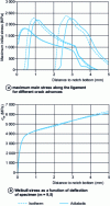 Figure 29 - Influence of assumptions on heat exchange in the case of a KCV specimen tested at – 30 °C