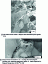 Figure 13 - TEM images of microstructures after cyclic deformation