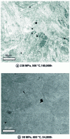 Figure 31 - FEG-SEM observations of long-term creep cavities appearing at block/packet joints and old austenitic joints (longitudinal sections, grade 91 steel) [9]