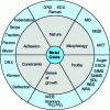 Figure 6 - Schematic representation of the various characterization techniques most often used in dry corrosion.