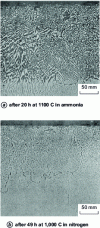 Figure 9 - Sectional view of AISI 309S stainless steel 