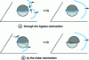 Figure 22 - Particle crossing by dislocations