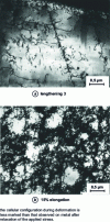 Figure 27 - Evolution of perfect dislocation configuration as a function of strain rate in face-centered cubic stainless steel (IRSID images)