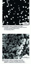 Figure 21 - Precipitation of intermetallic compounds in martensitic steels (observations by transmission electron microscopy)