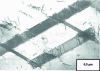 Figure 2 - Example of dissociated dislocations and stacking fault ribbons in austenitic stainless steel (transmission electron micrograph) (after [3])