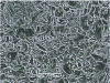 Figure 23 - Example of the microstructure of cold-rolled steel annealed using the Q&P process (SEM photograph, ArcelorMittal Global R&D East Chicago).