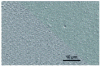 Figure 20 - FIB structuring of a surface (garnet layer) forming a macroscopic network of holes a few hundred nm in diameter over a thickness of 200 to 300 nm.