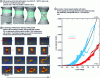 Figure 4 - Development of 3D damage and porosity fractions in an AZ31 alloy