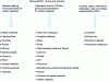 Figure 3 - Diagram of French regulatory texts for non-harmonized parts