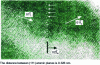 Figure 27 - Bending joint in germanium, observed using very high-resolution electron microscopy (photograph by Bourret et Anterroches CENG).