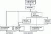 Figure 10 - Coating path diagram