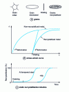 Figure 11 - Static recrystallization after hot forming: influence of niobium