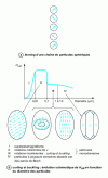 Figure 8 - Inconsistent rotation modes of monodomain particles (I, II, III) with shape anisotropy