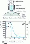 Figure 18 - Nd-Fe-B magnets obtained by rapid quenching from the liquid phase