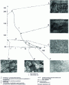 Figure 8 - Recrystallization of rolled CuZn30 brass