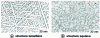 Figure 1 - Examples of TA6V morphologies