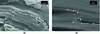 Figure 16 - Deflection, crack bifurcation and delamination of a Cr2AlC single crystal.