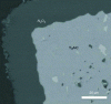 Figure 18 - Ti2AlC oxidized at 1,200°C for 2,873 h