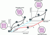 Figure 2 - Three-dimensional stress-strain-temperature diagram describing the thermomechanical behavior for the shape memory effect characterized by demachining of a macerated martensite (path e-f-g-h-i-a) and for the superelastic effect produced by oriented martensite growth (path a-b-c-d-a).