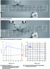 Figure 8 - Evolution of core shear damage