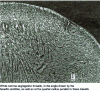 Figure 17 - 120 2 continuous casting bead forged to 80 mm diameter 