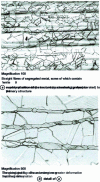 Figure 39 - Stainless steel  (18% Cr, 10% Ni type) embrittled by hot rolling (6% overall)