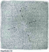 Figure 7 - Effect of rotary stirring on square-section basalts, which tilt as shown in figure (d )