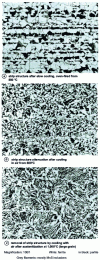 Figure 34 - Ferrite-pearlite microstructure of a 0.2% carbon steel