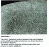 Figure 47 - Cross-section of a round (∅ 300 mm) in mild steel (from )