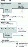 Figure 14 - The importance of a precise definition of steel plant boundaries for comparison purposes