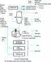 Figure 9 - Energy balance for a plant combining blast furnace, scrap and electric steelworks