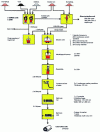 Figure 6 - Plant under construction at Asan Bay (Hanbo Steel, Republic of Korea) with COREX combination – direct reduction