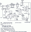 Figure 27 - CIRCOFER process