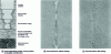 Figure 22 - Effect of rotating electromagnetic stirring on the solidification structure and segregation of a carbon steel bloom (source Rotelec)