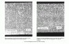 Figure 11 - Solidification structure of a strip produced on a single roll [32]