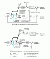 Figure 34 - Diagram of thickness and clamping force control systems tested by NSC and MHI [26]