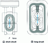 Figure 11 - Cage type