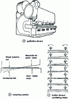 Figure 12 - Shears