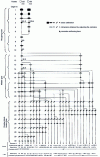 Figure 9 - Sequence of passes for diameters usually rolled on a wire mill