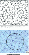 Figure 16 - Grain size estimation by comparison