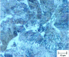 Figure 2 - C55 perlite (light microscopy)