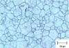 Figure 20 - X05CrNi18-9, oxalic acid (light microscopy)