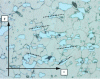 Figure 33 - X150 Cr11 (optical microscopy), Villela