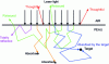 Figure 8 - Photon propagation in the skin (Illustration by the authors based on data from Welch – 1995, p. 15-17) [4]