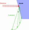 Figure 14 - Heel effect. The length of the green arrow symbolizes the intensity of the X-ray beam in the direction in question. The heel effect is taken into account when irradiating the patient, and cathode-side emission is reserved for the most absorbent areas (e.g. the abdomen in chest X-rays).